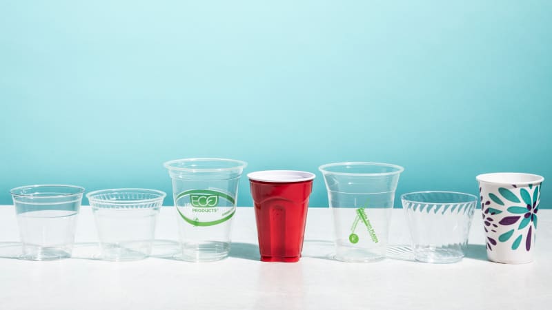 Best disposable cups store